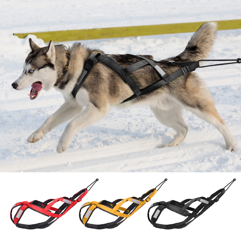 Crossfit Weight Vest - Waterproof Dog Sledding Harness Reflective Pet