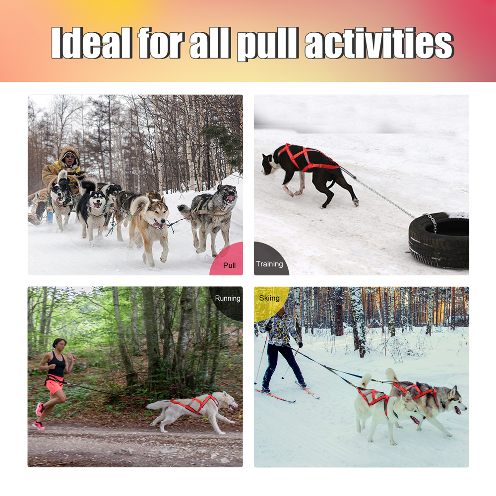 Waterproof Dog Sledding Harnes – Crossfit Weight Vest recenzja i cena