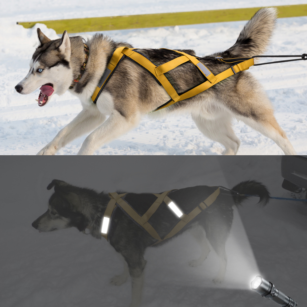 Waterproof Dog Sledding Harnes – Crossfit Weight Vest recenzja i cena