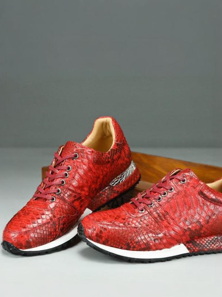 Concise Solid Color Snakeskin  – Crossfit Male recenzja i cena