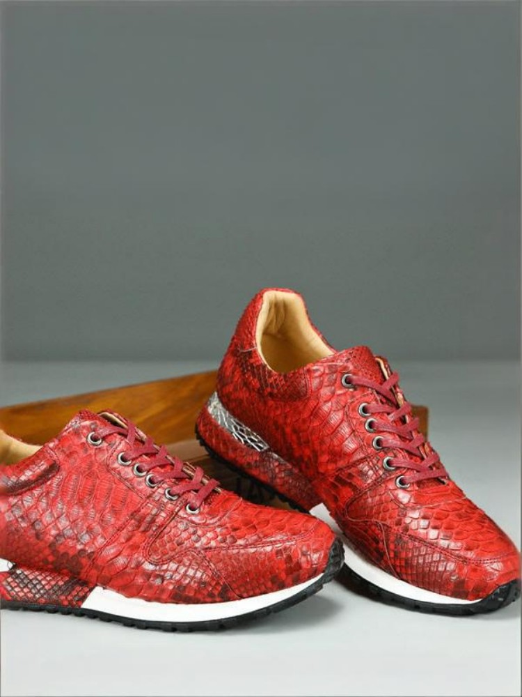 Concise Solid Color Snakeskin  – Crossfit Male recenzja i cena